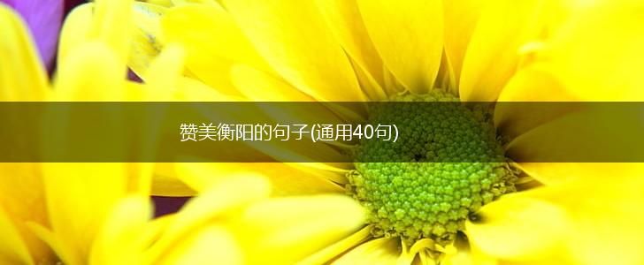 赞美衡阳的句子(通用40句),第1张