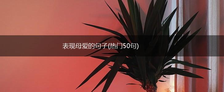 表现母爱的句子(热门50句),第1张