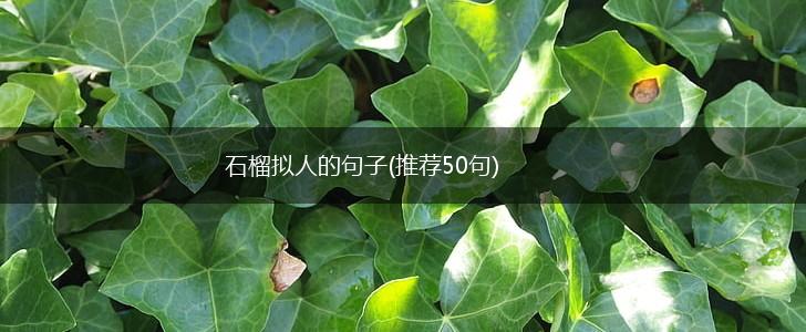 石榴拟人的句子(推荐50句),第1张