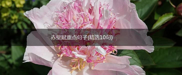 赤壁赋重点句子(精选10句),第1张