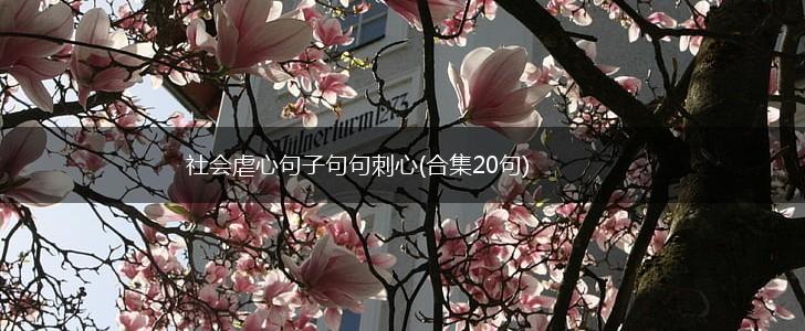 社会虐心句子句句刺心(合集20句),第1张