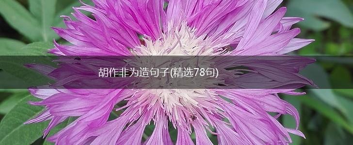 胡作非为造句子(精选78句),第1张