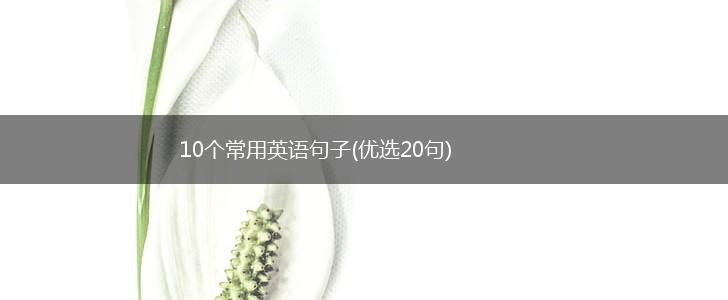 10个常用英语句子(优选20句),第1张