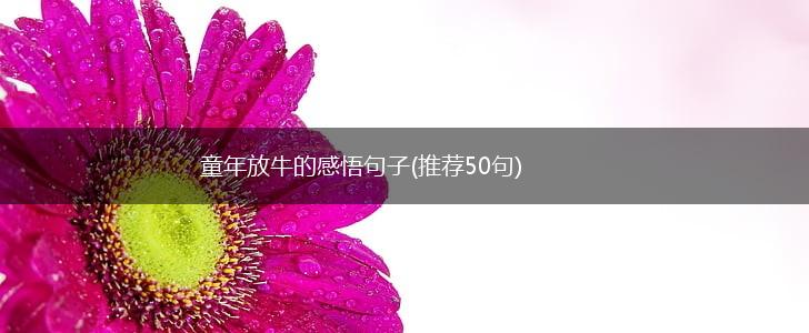 童年放牛的感悟句子(推荐50句),第1张