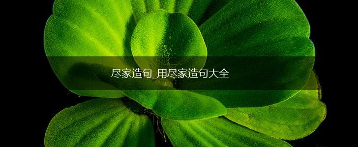 尽家造句_用尽家造句大全,第1张