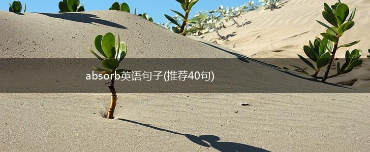 absorb英语句子(推荐40句),第1张