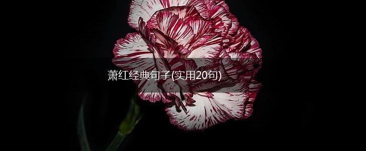 萧红经典句子(实用20句),第1张
