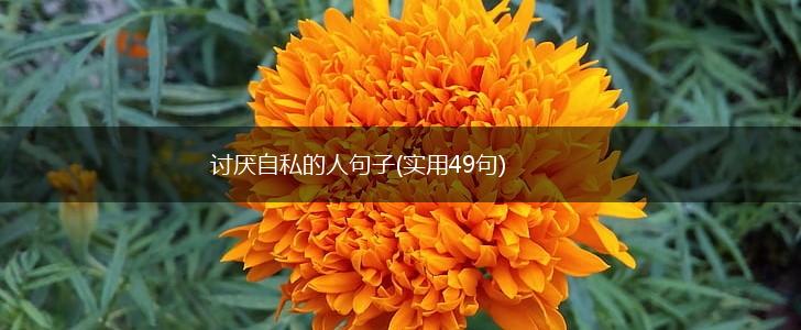 讨厌自私的人句子(实用49句),第1张