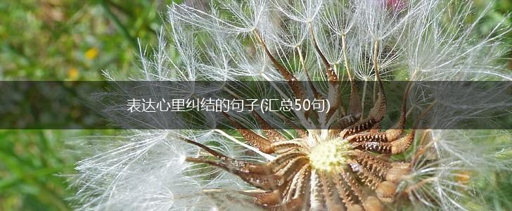 表达心里纠结的句子(汇总50句),第1张