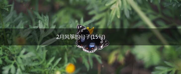 2月风筝的句子(15句),第1张