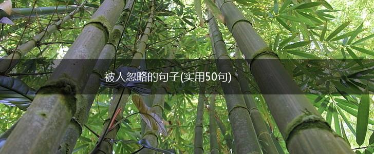 被人忽略的句子(实用50句),第1张