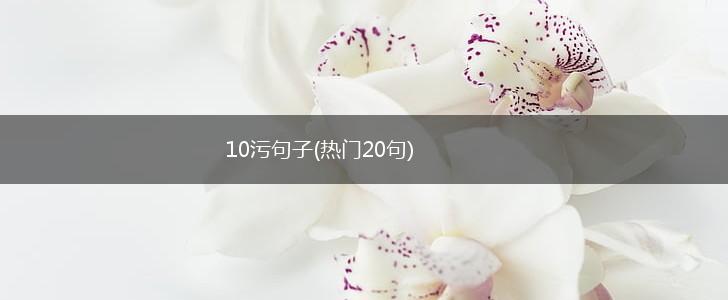10污句子(热门20句),第1张