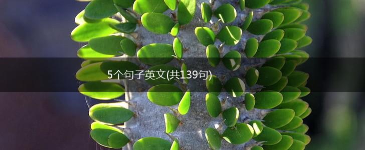 5个句子英文(共139句),第1张