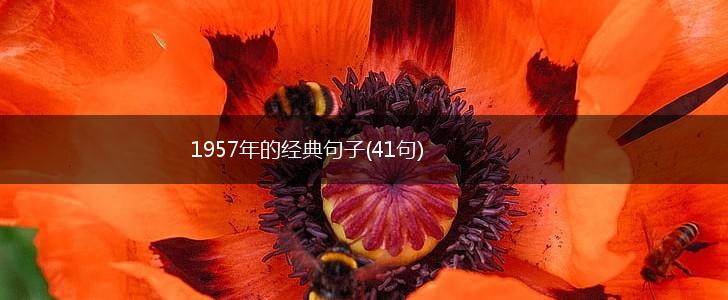 1957年的经典句子(41句),第1张