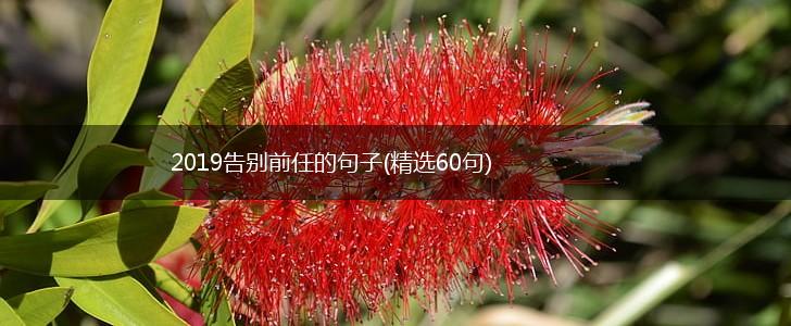2019告别前任的句子(精选60句),第1张
