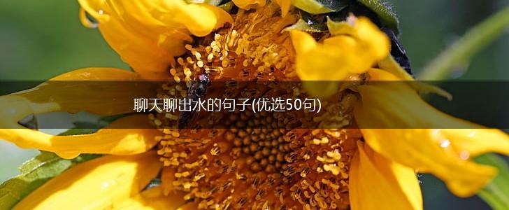 聊天聊出水的句子(优选50句),第1张