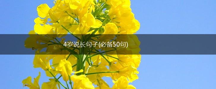 4岁说长句子(必备50句),第1张