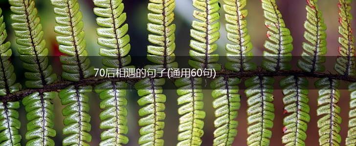 70后相遇的句子(通用60句),第1张