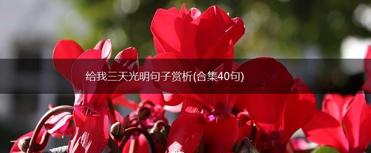 给我三天光明句子赏析(合集40句),第1张