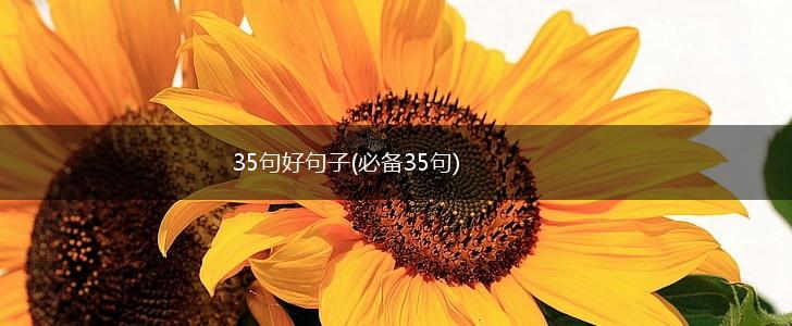 35句好句子(必备35句),第1张