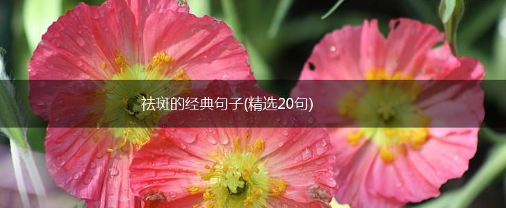 祛斑的经典句子(精选20句),第1张