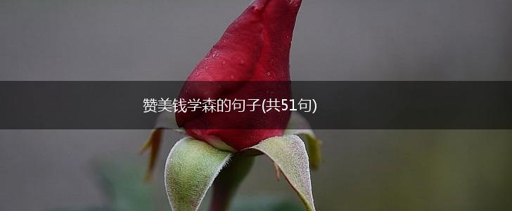 赞美钱学森的句子(共51句),第1张