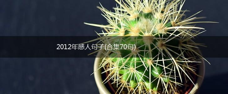 2012年感人句子(合集70句),第1张