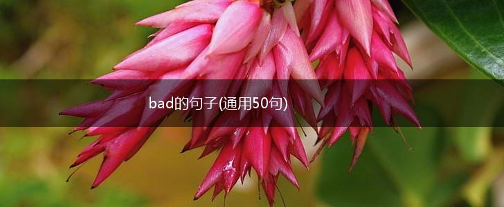 bad的句子(通用50句),第1张