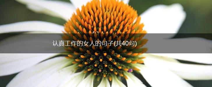 认真工作的女人的句子(共40句),第1张