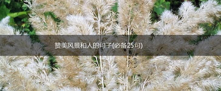 赞美风景和人的句子(必备25句),第1张