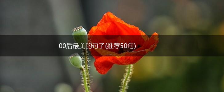 00后最美的句子(推荐50句),第1张