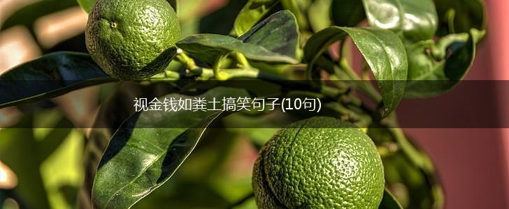 视金钱如粪土搞笑句子(10句),第1张