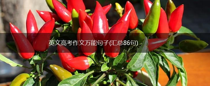 英文高考作文万能句子(汇总86句),第1张