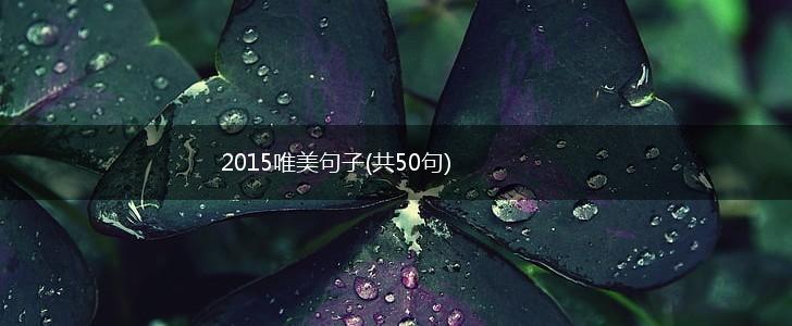 2015唯美句子(共50句),第1张