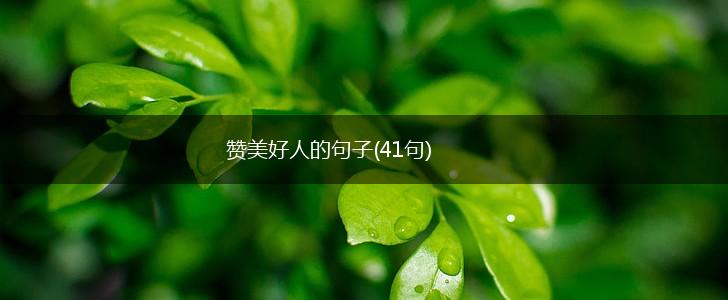 赞美好人的句子(41句),第1张