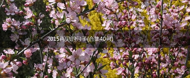 2015再见的句子(合集40句),第1张
