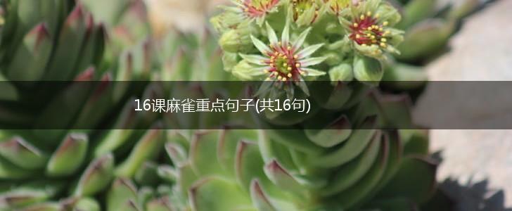 16课麻雀重点句子(共16句),第1张
