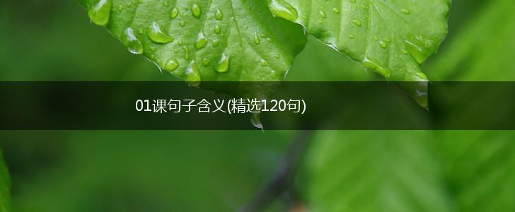 01课句子含义(精选120句),第1张