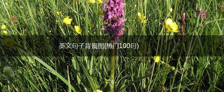 英文句子背景图(热门100句),第1张
