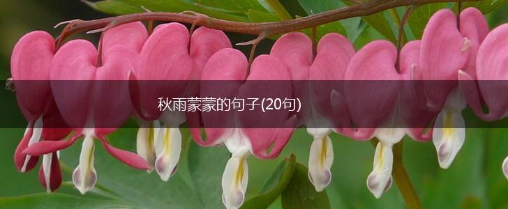 秋雨蒙蒙的句子(20句),第1张
