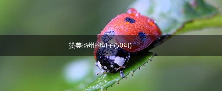 赞美扬州的句子(50句),第1张
