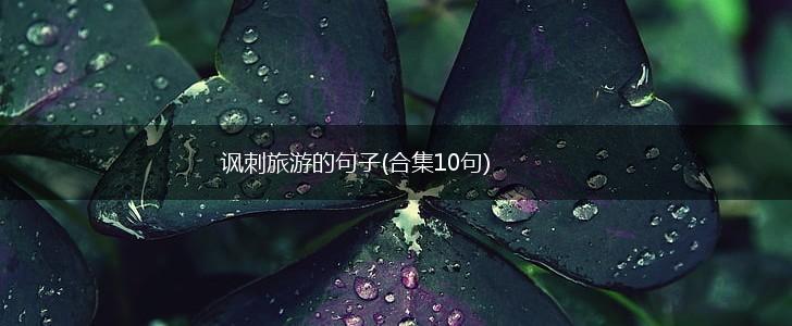 讽刺旅游的句子(合集10句),第1张
