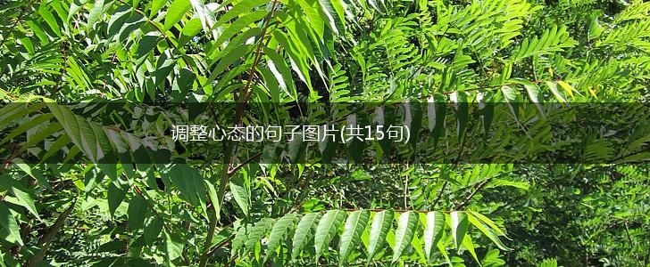 调整心态的句子图片(共15句),第1张