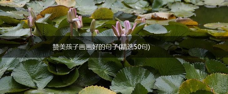 赞美孩子画画好的句子(精选50句),第1张