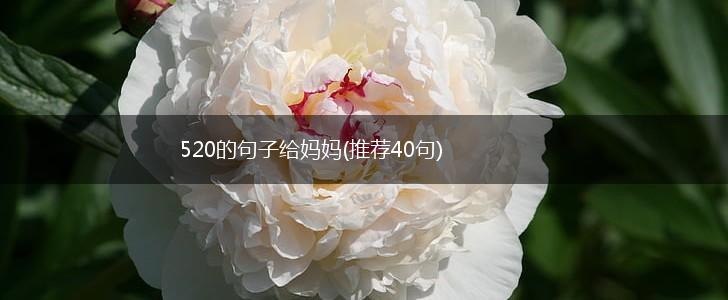 520的句子给妈妈(推荐40句),第1张