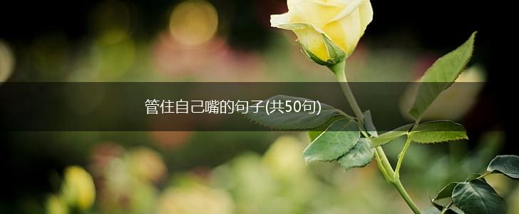 管住自己嘴的句子(共50句),第1张