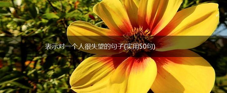 表示对一个人很失望的句子(实用50句),第1张