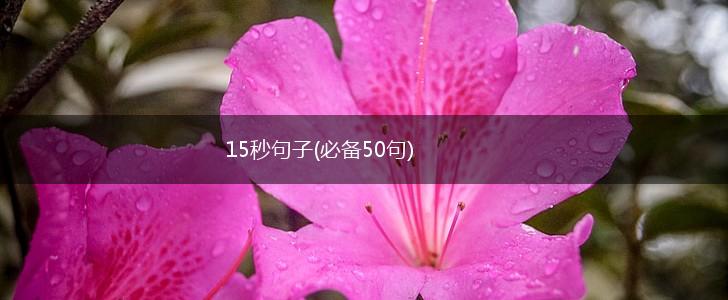 15秒句子(必备50句),第1张