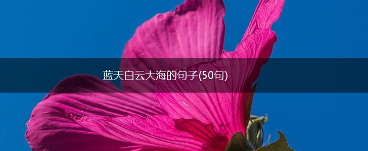 蓝天白云大海的句子(50句),第1张
