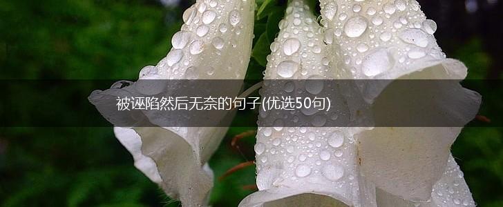 被诬陷然后无奈的句子(优选50句),第1张